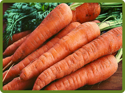 Carrots