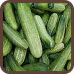 Cucumbers